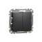 Двухклавишный выключатель Черный Sedna Design Schneider Electric SDD114105 0