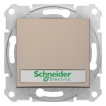 Кнопковий вимикач SEDNA з підсвіткою та полем для маркування титан