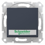 Кнопочный выключатель Sedna с подсветкой и полем для маркировки графит